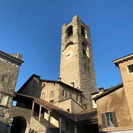 The L I B R A R Y Bergamo