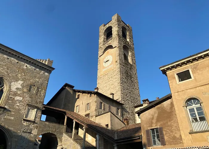 The L I B R A R Y Bergamo